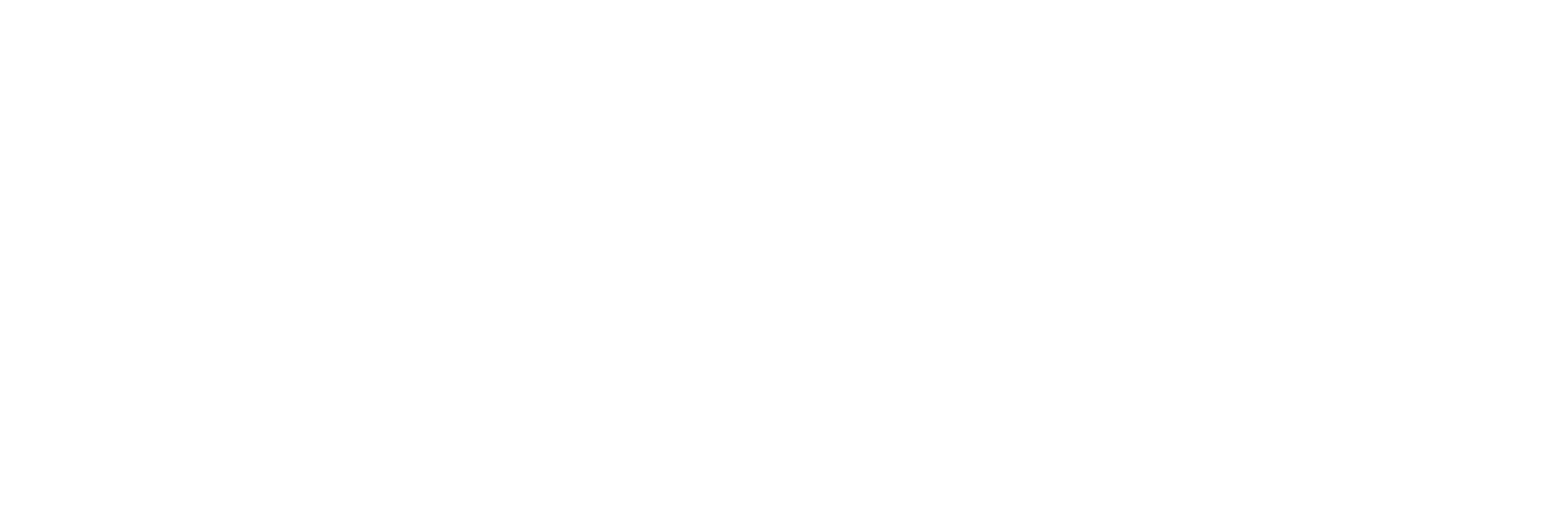Media Life GmbH & Co. KG